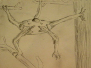 Arboreal sketch